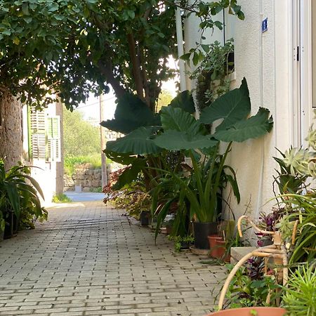 Grandmother'S House Αμμόχωστος Εξωτερικό φωτογραφία