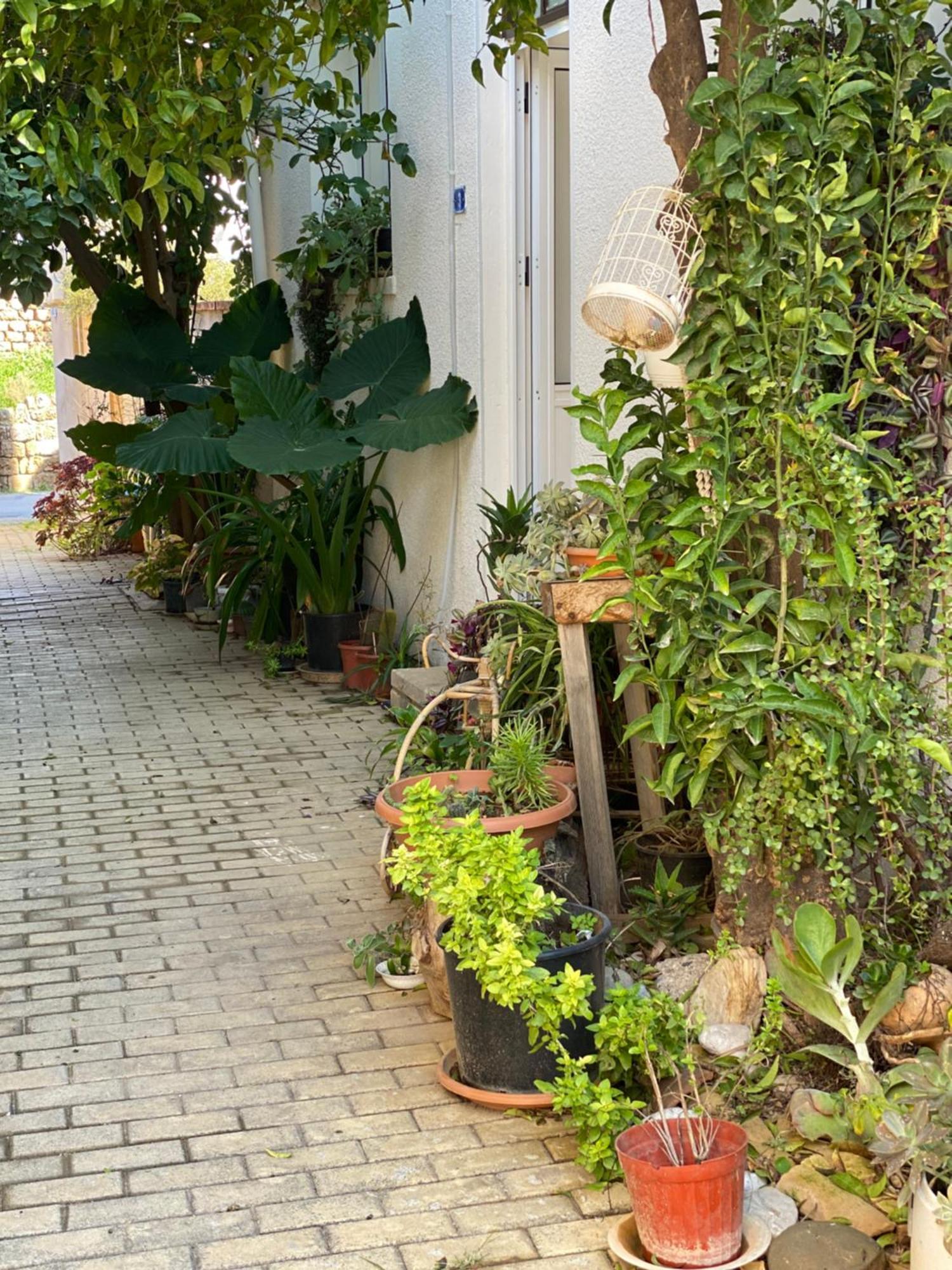Grandmother'S House Αμμόχωστος Εξωτερικό φωτογραφία