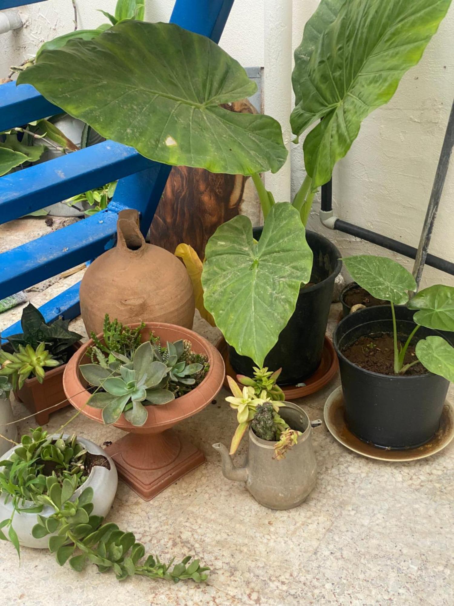 Grandmother'S House Αμμόχωστος Εξωτερικό φωτογραφία