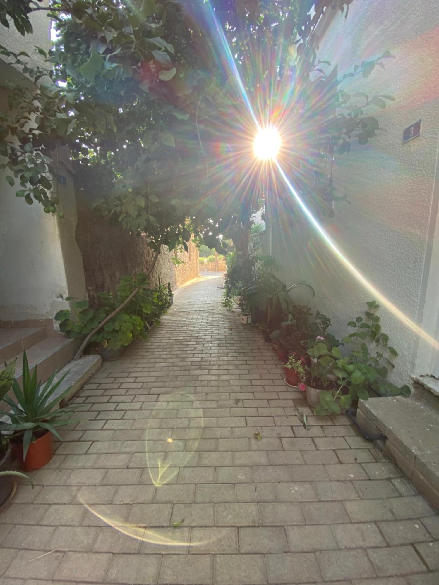 Grandmother'S House Αμμόχωστος Εξωτερικό φωτογραφία