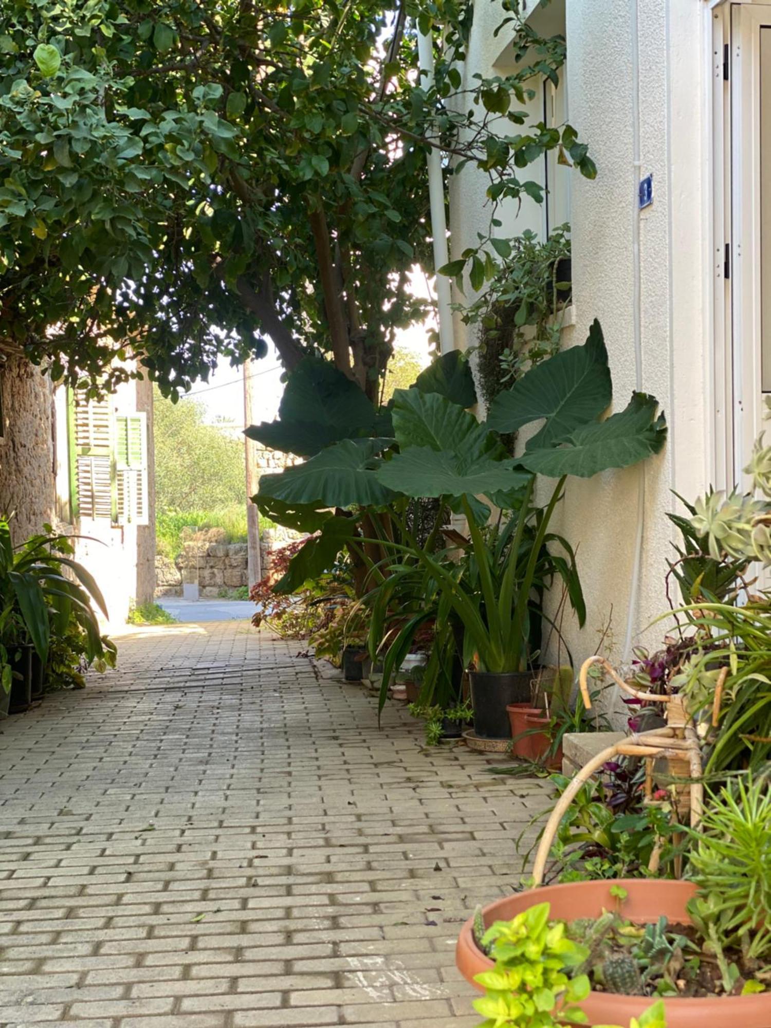 Grandmother'S House Αμμόχωστος Εξωτερικό φωτογραφία